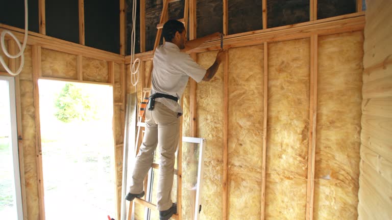 Ladd, IL Insulation Installation & Removal Company